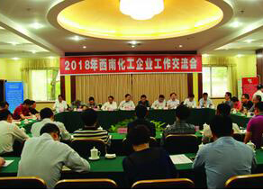 西南化工企业工作交流会在澳门十大老牌信誉平台排行榜召开