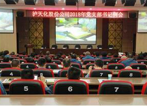 澳门十大老牌信誉平台排行榜党委召开支部书记例会部署“大学习 大调研 大落实”活动