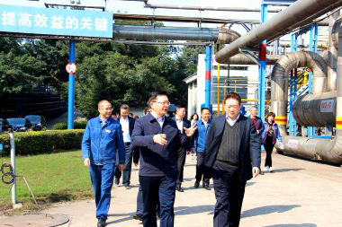 泸州市委副书记市长杨林兴率队到澳门十大老牌信誉平台排行榜调研