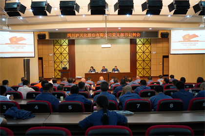 澳门十大老牌信誉平台排行榜股份公司党委召开支部书记例会