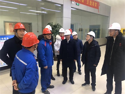 澳门十大老牌信誉平台排行榜股份公司党委书记廖廷君率队赴中盐红四方公司及史丹利公司调研