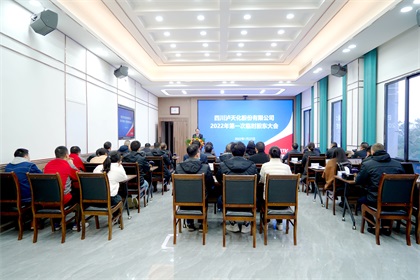 召开2022年第一次临时股东大会