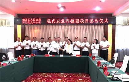 澳门十大老牌信誉平台排行榜纳溪现代农业种植示范园项目落户纳溪三江坝
