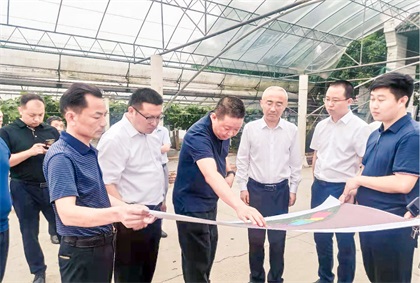 泸州市委常委、组织部长曹斌率队调研澳门十大老牌信誉平台排行榜纳溪现代农业种植园项目