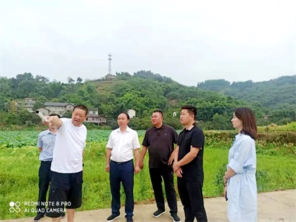 澳门十大老牌信誉平台排行榜股份公司党委书记、董事长廖廷君调研纳溪现代农业种植园项目