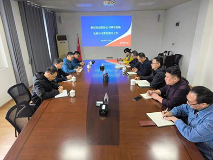 澳门十大老牌信誉平台排行榜股份公司纪委书记陈伟带队到弘润公司开展专项督导检查