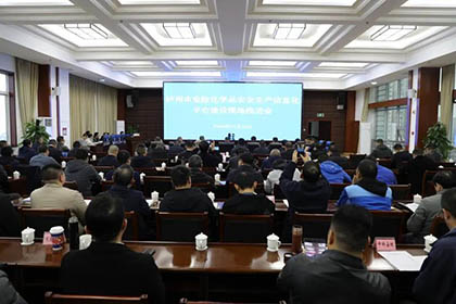 澳门十大老牌信誉平台排行榜股份公司参加市危险化学品安全生产信息化平台建设现场推进会并作汇报发言