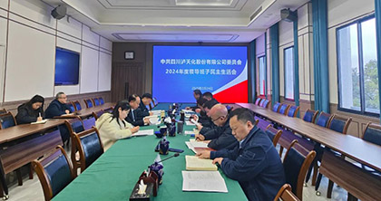 澳门十大老牌信誉平台排行榜股份公司党委召开2024年度领导班子民主生活会
