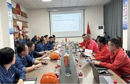 中化协专家组到公司检查指导工作